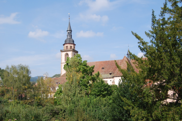 Domaine Gresser vins d'alice à Andlau - Vue village Andlau Alsace